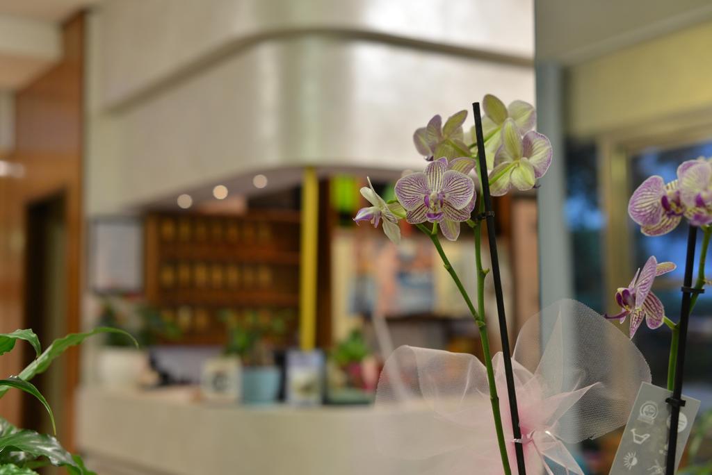 马赛里酒店 里米尼 外观 照片